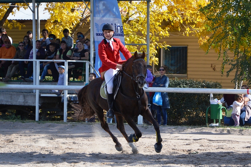 Спортсмены-конники разыграли $17 тысяч