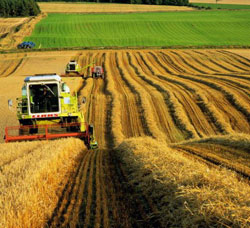 В Костанайской области приватизировано лишь 0,4% земель