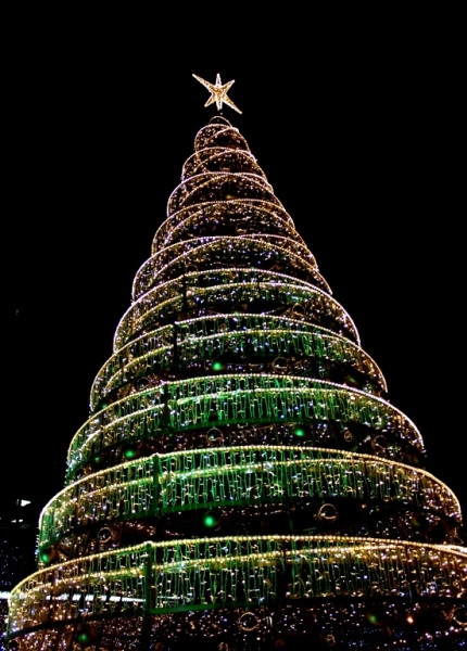 Ёлочка, гори!