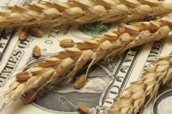 Инвесторы из ОАЭ заинтересованы в проектах «КазАгро»