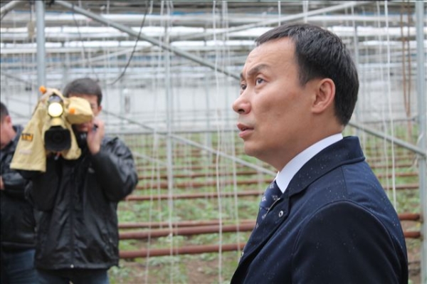 Развитие транспортной и торговой логистики помогут снизить цены на овощи