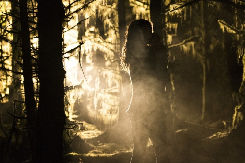 История одной ночи