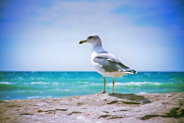 Согласован ряд положений Конвенции о статусе Каспия