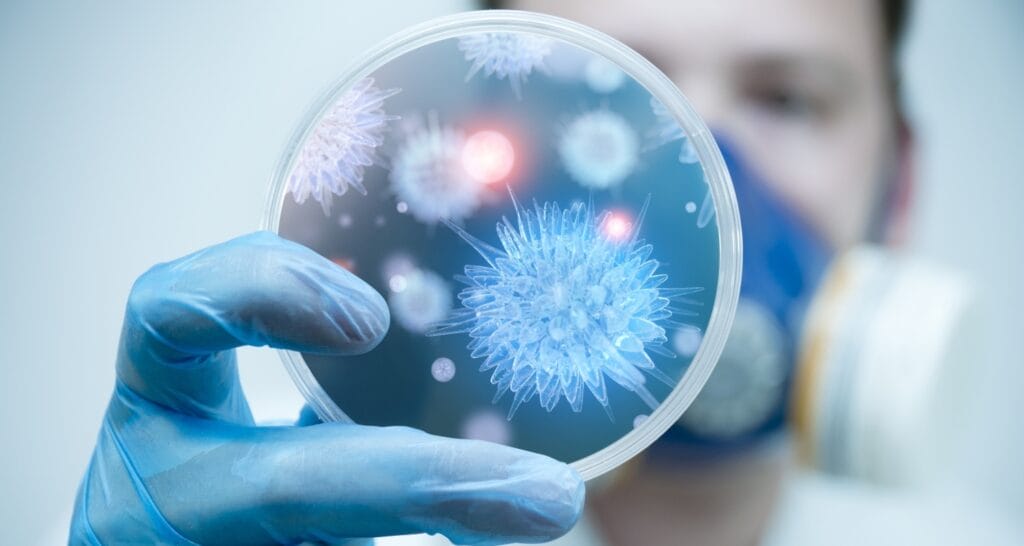 В Южном Казахстане начинает работу биотехнологический стартап