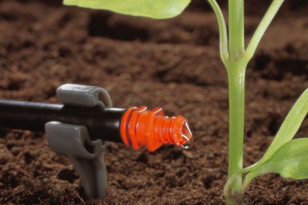 Предприниматели Алматинской области несут убытки из-за сбоев подачи воды