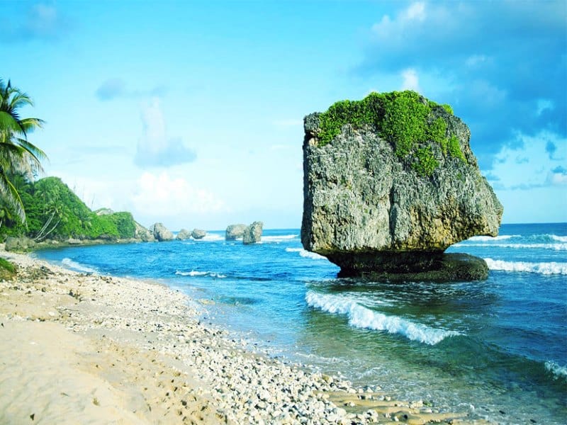 Барбадос: путешествие с бородой