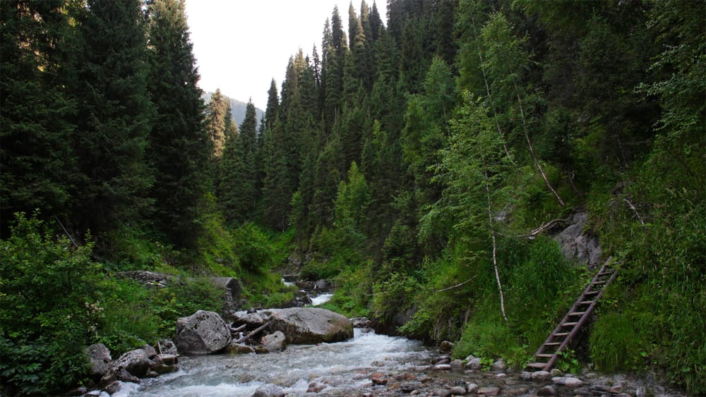 Произошел кратковременный селевой выброс на реке Улкен в Алматы