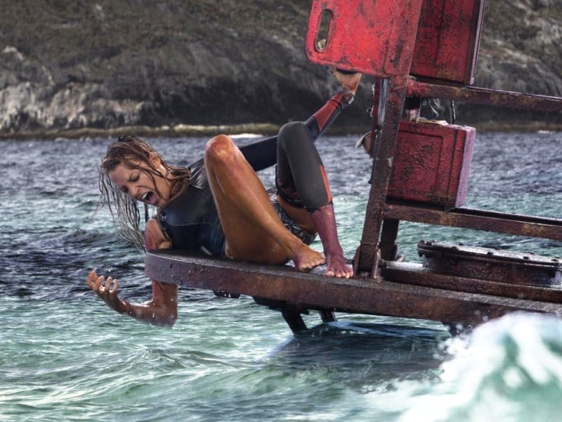 «Отмель»: когда укусила акула