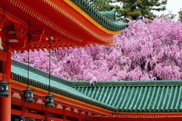 Россия, Китай и Монголия будут совместно продвигать новый турбренд