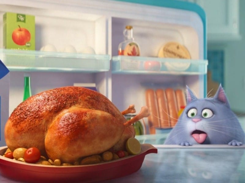 Реальная жизнь домашних питомцев