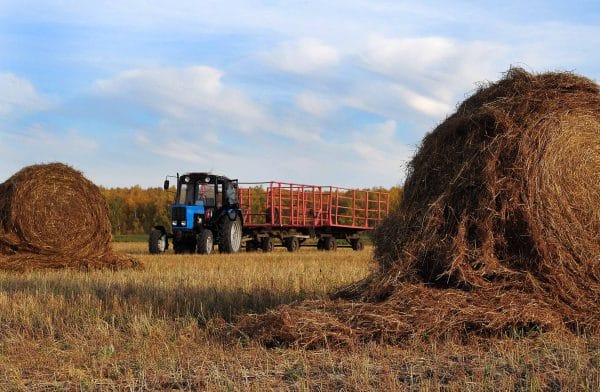 В Казахстане планируется создать 161 сельскохозяйственный кооператив