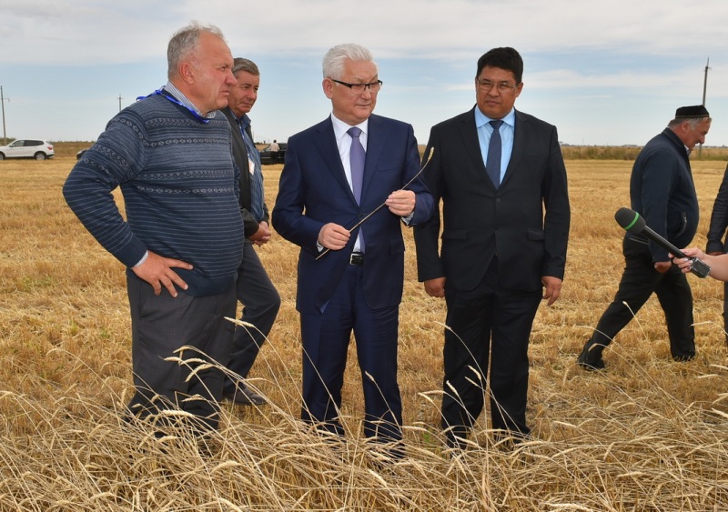 Североказахстанцы будут производить 120 тысяч тонн растительного масла в год