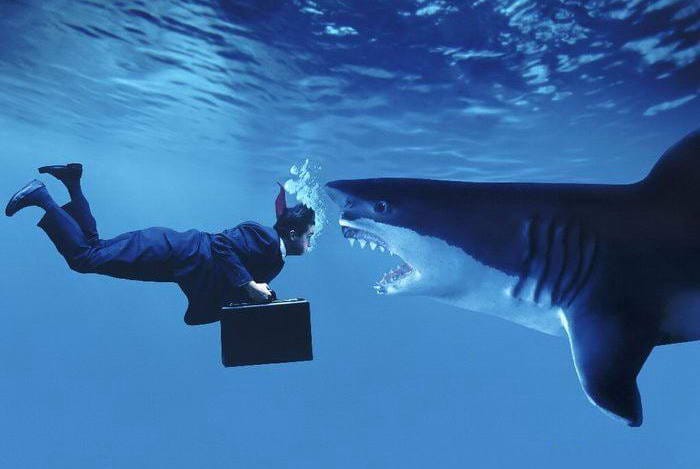 Для развития бизнеса необходимо масштабное разгосударствление