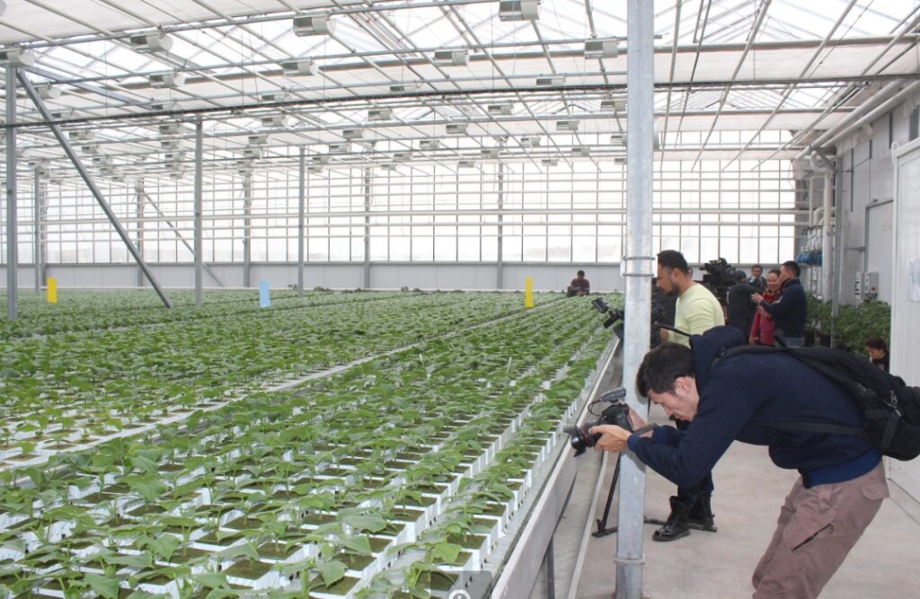 Нацхолдинг «КазАгро» профинансирует строительство теплиц на 46,5 млрд