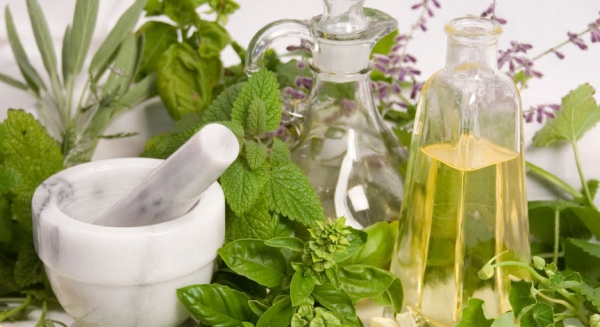 В Казахстане собираются продвигать концепцию фитониринга