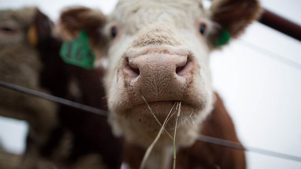 Минсельхоз презентовал план развития АПК