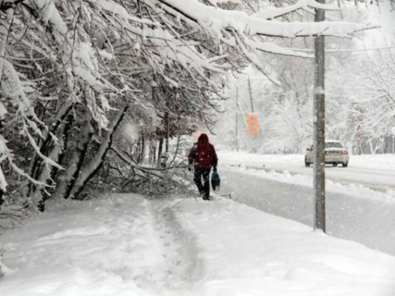 Қалың қар жауады: 11 қаңтарға ауа райы болжамы жарияланды