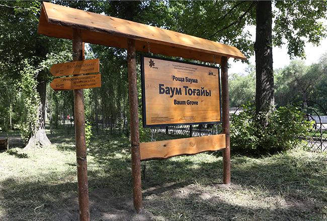 Захваченные земельные участки в Роще Баума возвращены городу