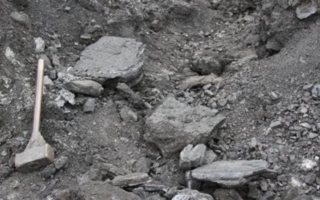 В Казахстане идет разработка добычи более «чистой» альтернативы углю