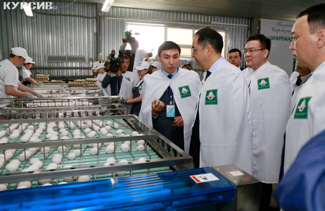 Предприниматель объяснил премьер-министру РК, зачем птицефабрике цифровизация