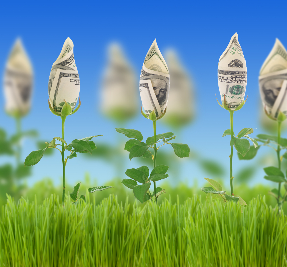 В Актау потратили 823 млн тенге на цветы к саммиту