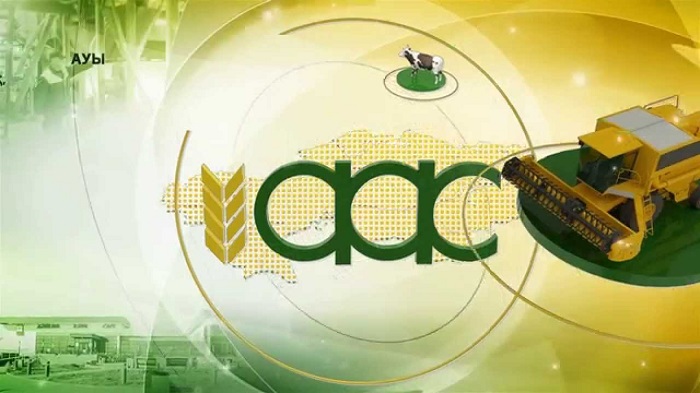 Гульмира Ергалиева назначена заместителем председателя правления АО «Аграрная кредитная корпорация»