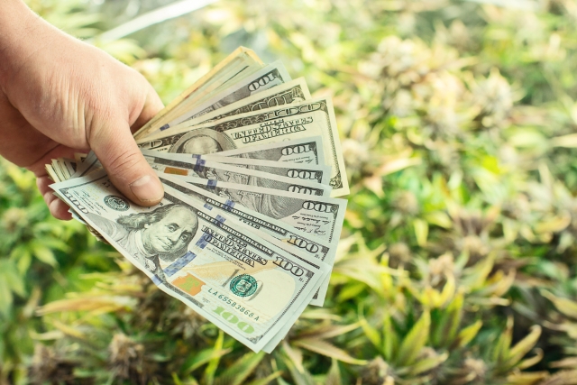 Американская Constellation Brands инвестирует $3,8 млрд в канадского производителя марихуаны