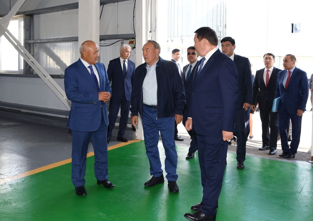 Назарбаев: В СКО наряду с земледелием нужно развивать животноводство