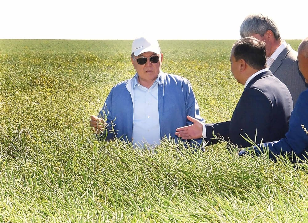 Назарбаев призвал не затягивать работы по уборке урожая