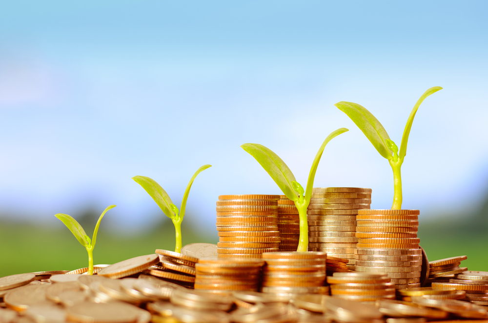 Фото: Shutterstock.com / Singkham