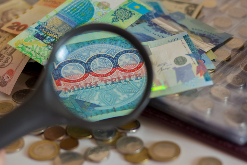 Фото: Shutterstock.com / VIKTORIA DENVER