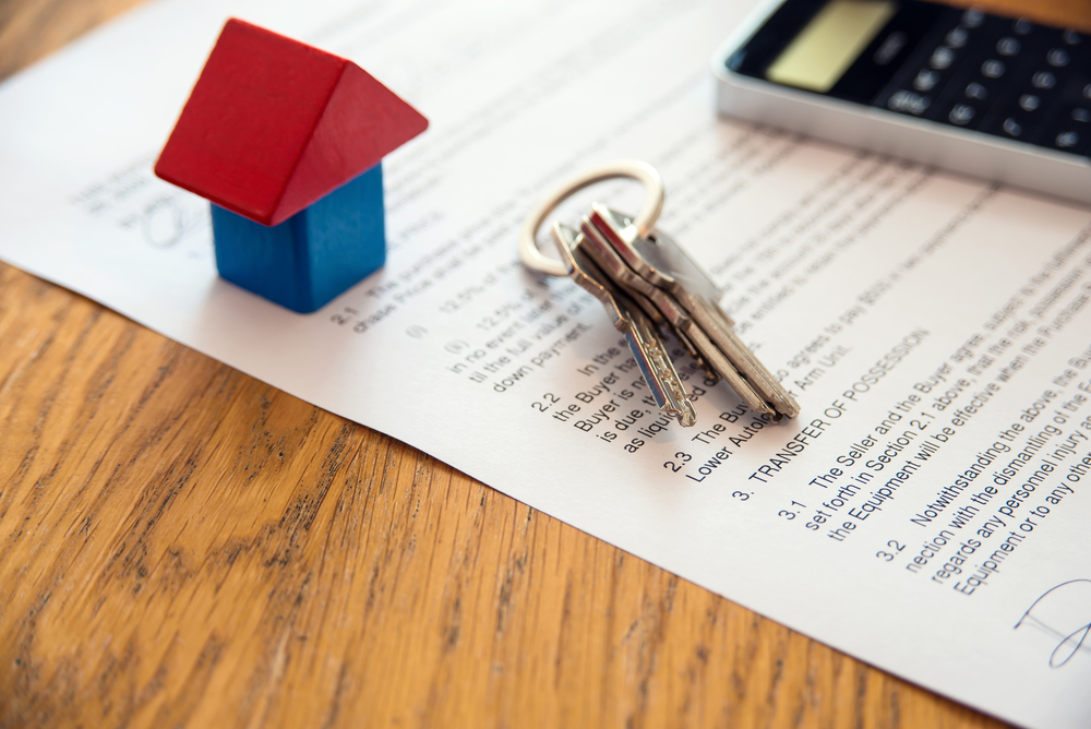 Фото: Shutterstock / AB Visual Arts