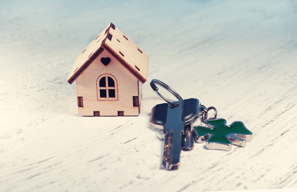 Фото: Shutterstock / Natalya Lysenko