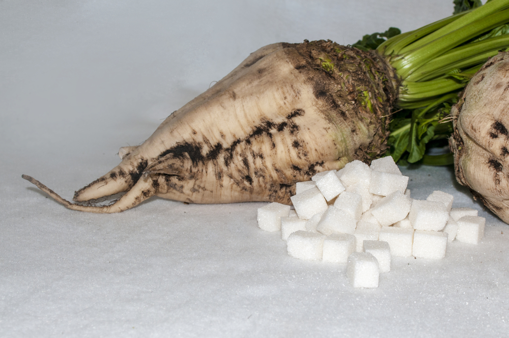 МСХ: Напряжение на рынке из-за отмены льгот на ввоз сахара может быть, но это необходимый этап