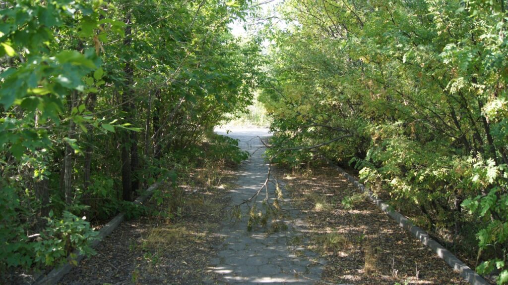 Всего лишь декорация: зачем власти Темиртау разорили парк?