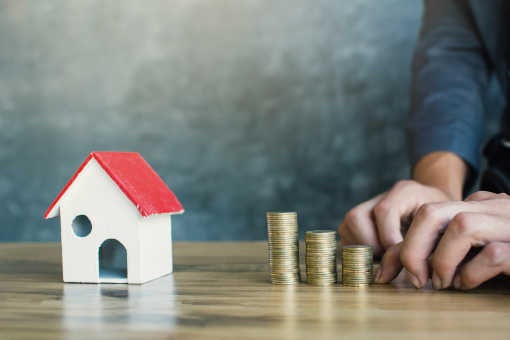 Фото: Shutterstock.com / Alohaflaminggo