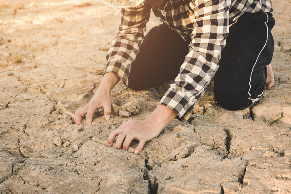 Акиматы требуют от предпринимателей вернуть землю, которую сами же выдали