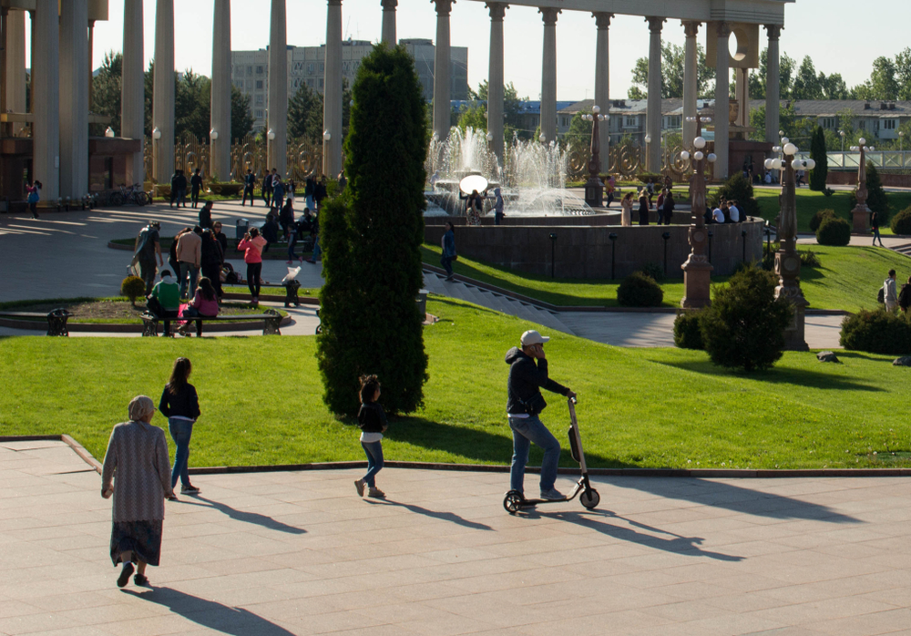 Фото: Shutterstock.com / Artur Dadamyan