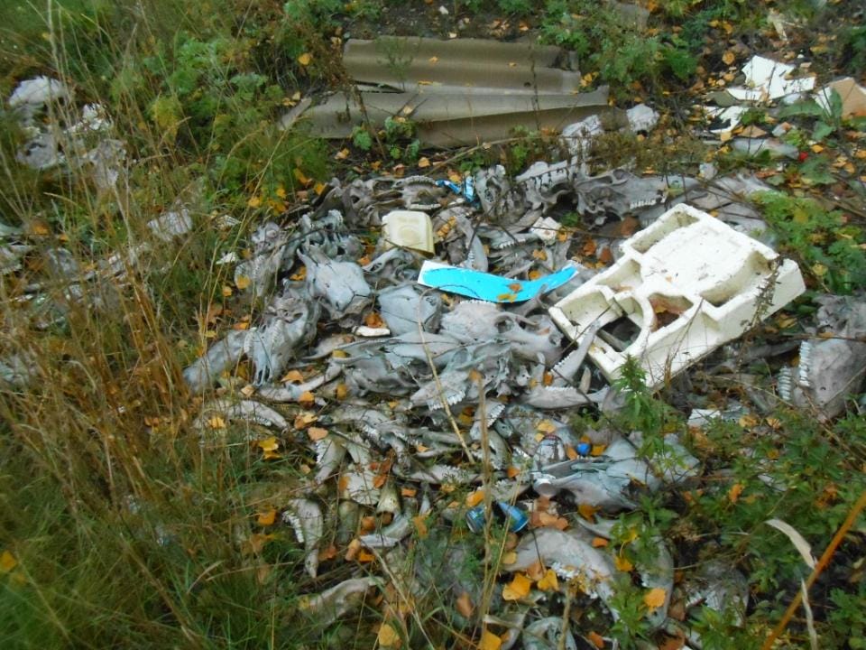Экологи Усть-Каменогорска обнаружили в центре города открытый скотомогильник