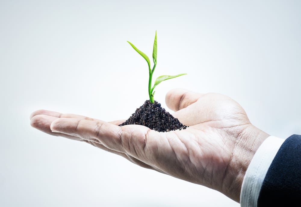 Фото: Shutterstock