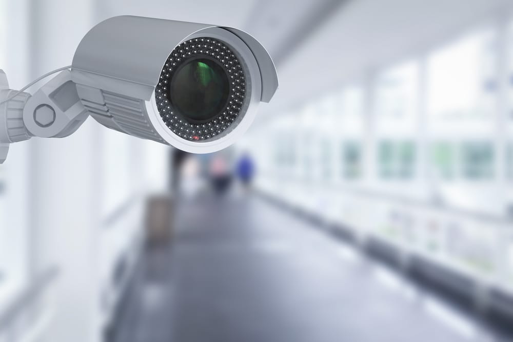 Фото: shutterstock.com