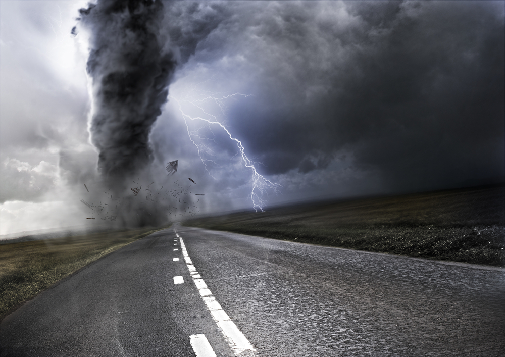 Фото: Shutterstock