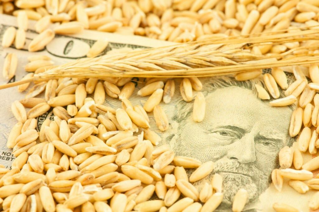 КТЖ готов пустить казахстанское зерно в обход России