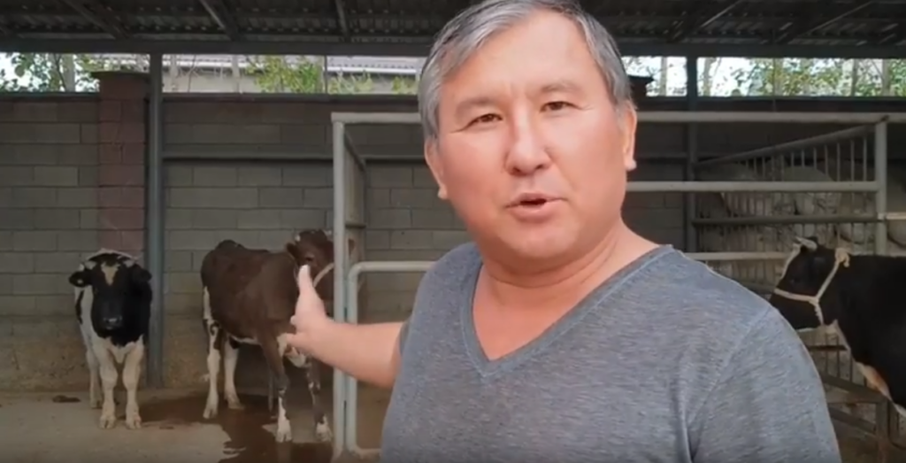 ДВД Туркестанской области проверит информацию общественника о незаконных субсидиях на молоко