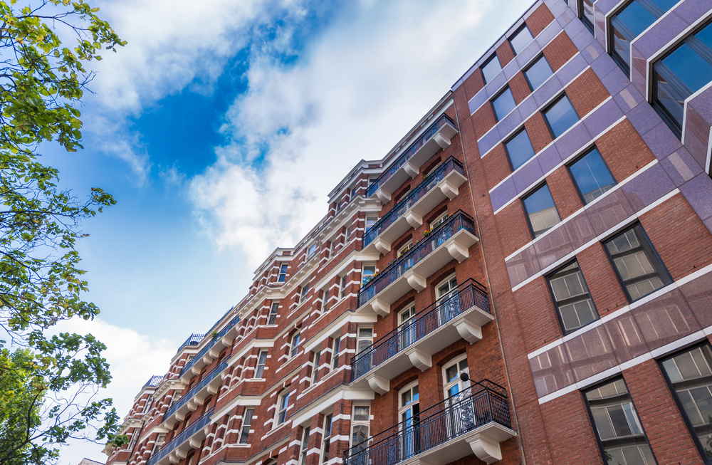 Фото: Shutterstock.com / Pisaphotography