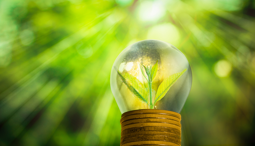 43% энергии, полученной от возобновляемых источников энергии, приходится на Жамбылскую область