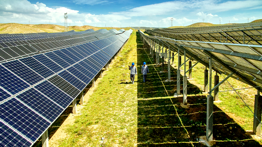 Фото: Shutterstock.com / Jenson