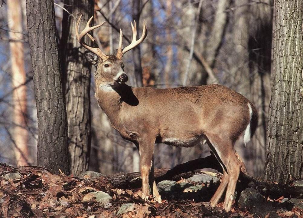 В Актюбинской области развивают медицинский туризм