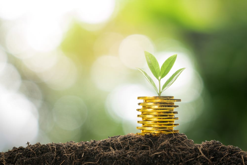 В Костанайской области 1 млн тенге гранта получила девушка на создание теплицы без почвы