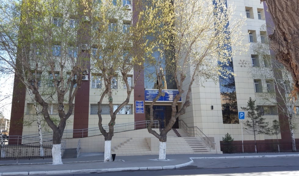 Как цифровизация в таможенном оформлении упростила жизнь бизнесу